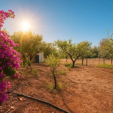Villa Nel Salento Con Piscina E Ulivi Nardò
