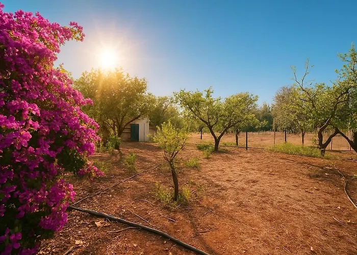 Villa Nel Salento Con Piscina E Ulivi Nardò