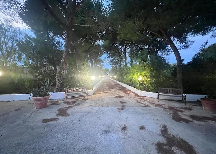 Nel Salento Con Piscina E Ulivi